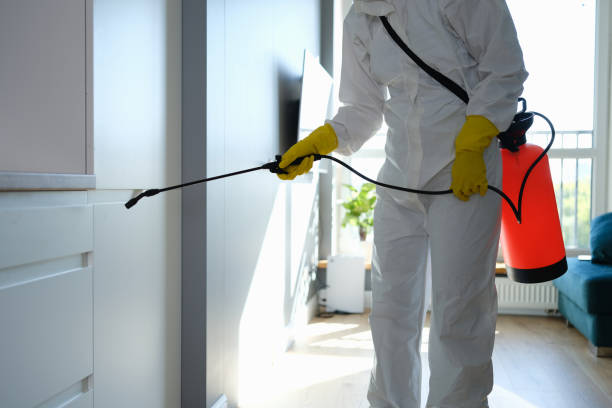 Mold Remediation for Rental Properties in Wyoming, DE